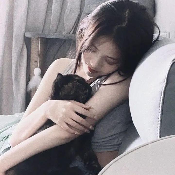 龙珠Z剧场版2：世界最强的高手